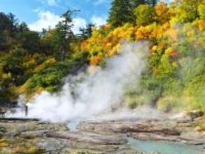 【秋田県】自然のエネルギーを肌で感じる「秋田八幡平温泉郷」の魅力とは？ 森林セラピーもできる癒しの地