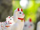 「5月31日、金運を招く「巳の日」が到来！ ブルームーンの満月の日に豊かさを呼び込む行動とは？」の画像1