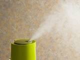 「【加湿器の落とし穴】“菌をまき散らす加湿器”になってない？ タイプ別「掃除の正解」」の画像1