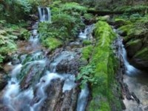 福井県で「冬に行きたい滝」ランキング！ 2位「瓜割の滝」を抑えた1位は？【2026年調査】