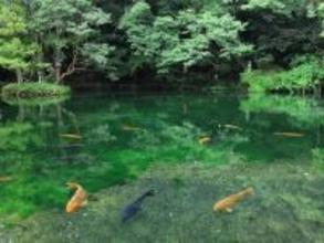 65歳過ぎても厚生年金加入は義務？知っておきたい加入のルールを解説