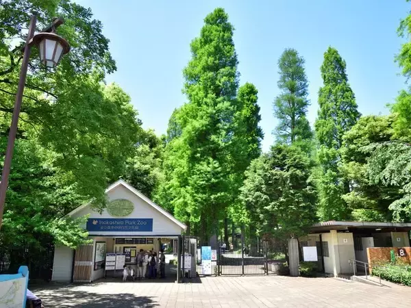 「東京郊外で「一度は住んでみたいと思う市」ランキング！ 2位「三鷹市」、1位は？【専門家の解説も】」の画像