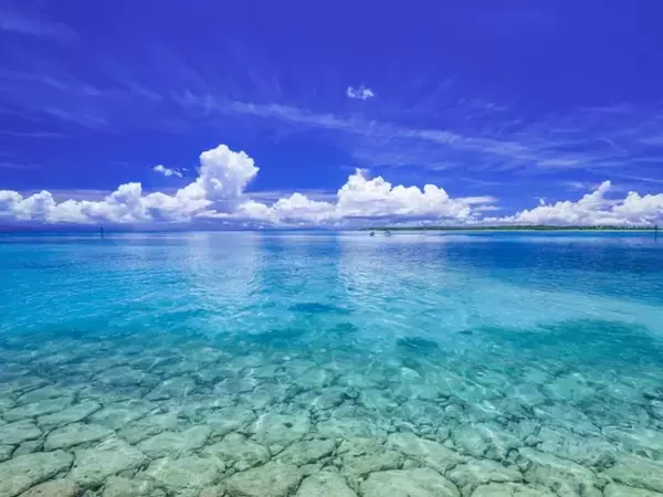 九州地方の「憧れナンバープレート」ランキング！ 2位「奄美（鹿児島県）」、1位は？ 【2025年調査】