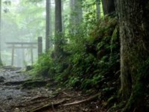 好き&行ってみたい「三重県のパワースポット」ランキング！ 2位「熊野古道」を抑えた1位は？ 【2025年調査】