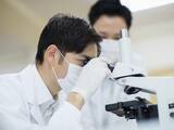 「命に関わる「ハンタウイルス」、感染経路や国内での注意点は？ 再びパンデミックの可能性はあるのか」の画像1