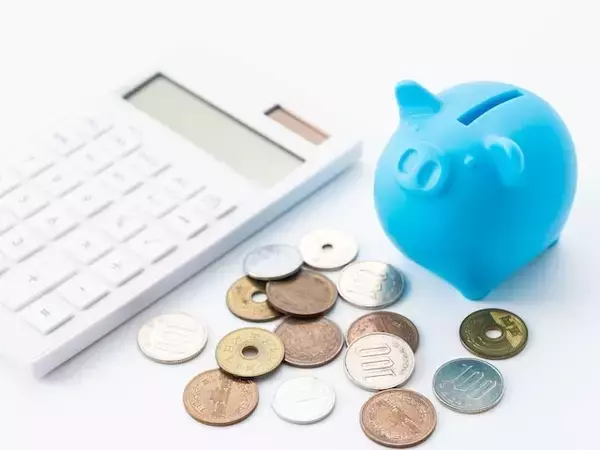 来年から年金受給で、公的年金が月20万円プラス企業年金が月10万円となります。私の年収は360万円なのでしょうか？