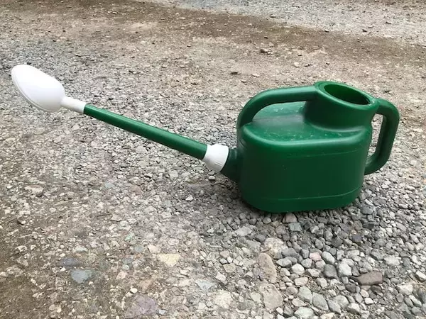 「雨水をためて裏庭にある野菜に水やり…」物価高で家計の厳しい52歳女性の“リアルな生活実態”