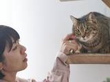 「旅行好きが猫を飼うと一生貧乏に？ 猫にかかるお金と後悔しないための考え方」の画像1