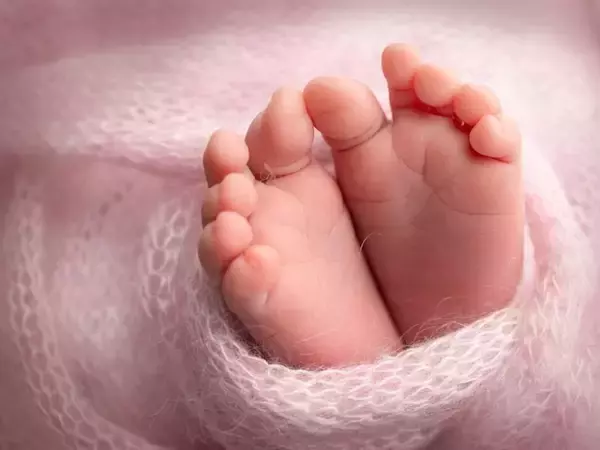 60年に1度の丙午（ひのえうま）到来……出生数25％減をもたらした迷信の正体と“丙午女子”の本音