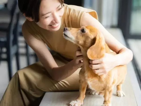 【200人調査】飼ってみたいペット1位は安定の「犬」、ちょっと意外なペットも上位にランクイン