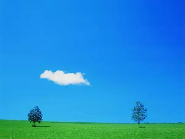 申請しないともらえない？初めての老齢年金、受給までの流れを解説