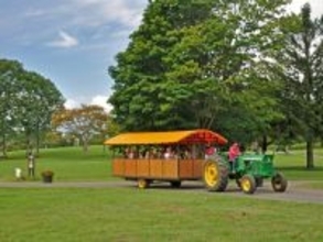 【2025年度版】岩手県民が選んだ「街の幸福度（自治体）」ランキング！ 2位「雫石町」を抑えた1位は？