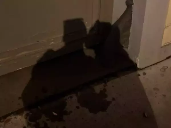 「え？」「やばい」村重杏奈、フランスでのキス影絵ショットに反響！ 「これは凄い！」