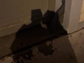 「え？」「やばい」村重杏奈、フランスでのキス影絵ショットに反響！ 「これは凄い！」