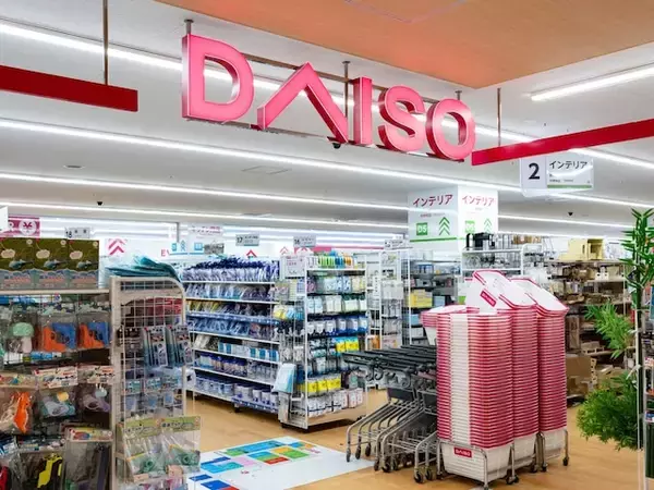 「こっち使用するほうが現実的？」ダイソーの簡易和式トイレが備えに好評との声。「買ってみた」