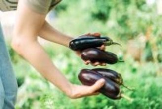 「見栄」より「満足感」！お金に愛される人の趣味とは？