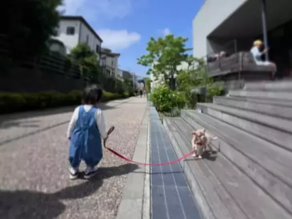「もう歩いてるんですね」藤森慎吾、娘と愛犬の散歩ショット公開「幸せが溢れすぎてる…」「尊いの凝縮」