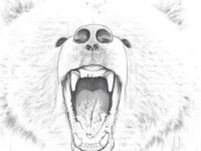 クマ外傷を診た形成外科医が解説 「もしもクマに襲われたら……」 覚えておくべき命を左右する応急手当