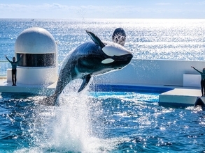 【千葉県】「太平洋を望む絶景風呂」休日に行きたい「鴨川温泉」の魅力とは? シーワルドと一緒に