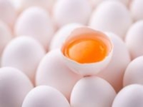 Q. 「卵の黄身はコレステロールが高いため、食べない方がいい」って本当？