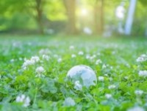 【単身者向け】月5万円のパートで住民税非課税世帯から外れる？ 年金受給者が知っておくべき合算所得