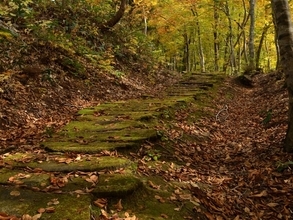 長期休みに行きたい「山形県の穴場秘境」ランキング！ 2位「黒沢峠ブナ林」、1位は？ 【2025年調査】