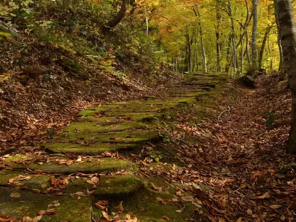 長期休みに行きたい「山形県の穴場秘境」ランキング！ 2位「黒沢峠ブナ林」、1位は？ 【2025年調査】