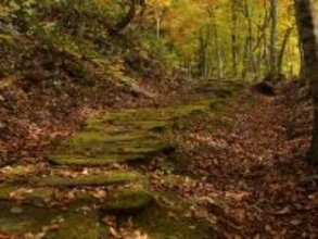 長期休みに行きたい「山形県の穴場秘境」ランキング！ 2位「黒沢峠ブナ林」、1位は？ 【2025年調査】