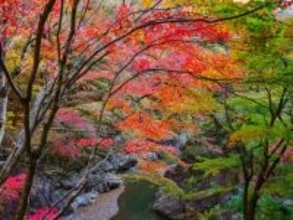 長期休みに行きたい「埼玉県の穴場秘境」ランキング！ 2位「中津峡」、1位は？ 【2025年調査】