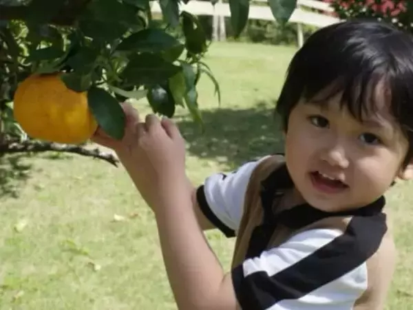 「すっかりお兄ちゃんだね」島袋聖南、イケメン夫＆息子との旅行ショット公開！ 「仲良しファミリー」