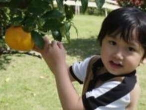 「すっかりお兄ちゃんだね」島袋聖南、イケメン夫＆息子との旅行ショット公開！ 「仲良しファミリー」