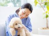 「「ドッグフードは高くてもいいものを」58歳独身女性が犬の健康を考えつつ、“月2万円”を浮かせた方法」の画像1