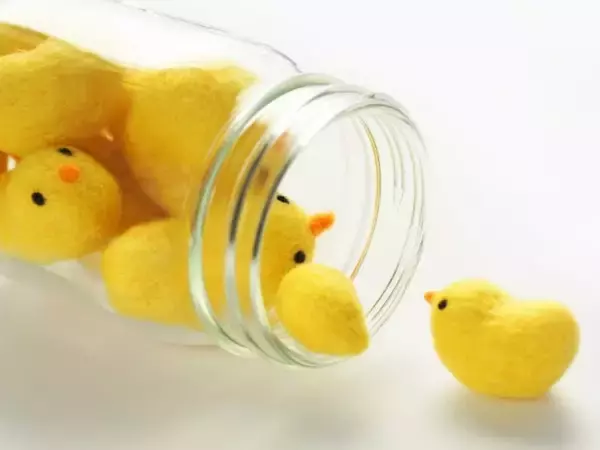 職場で配りたい「東京都のお土産」ランキング！ 2位「東京名菓ひよ子」、1位は？ 【2025年調査】