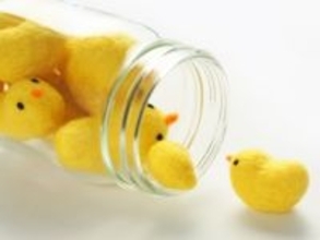 職場で配りたい「東京都のお土産」ランキング！ 2位「東京名菓ひよ子」、1位は？ 【2025年調査】