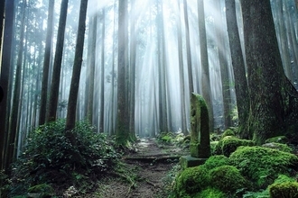 銀行から高金利の定期預金の案内がきました。注意することは何？