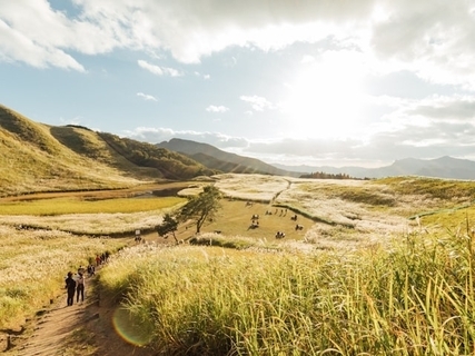 秋に行きたいと思う「奈良県の絶景スポット」ランキング！ 2位「曽爾高原」を抑えた1位は？ 【2025年調査】