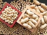 「Q. 節分の豆まきに「落花生（ピーナッツ）」を使うのはアリですか？【和文化研究家が回答】」の画像1