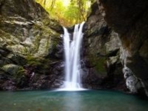 冬に行きたい「大阪府の滝」ランキング！ 2位「滝畑四十八滝」を抑えた1位は？【2026年調査】