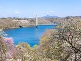 「春に行きたいと思う「福島県の公園」ランキング！ 2位「さくらの公園」を抑えた1位は？【2026年調査】」の画像1