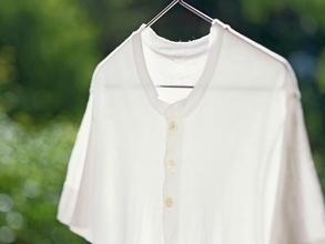 白い服だけじゃない！ 洗濯物に「カメムシ」が付く理由と、絶対にやってはいけない「NGな取り方」