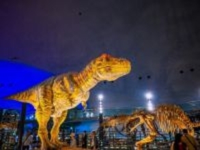 春に行きたいと思う「福井県の旅行先」ランキング！ 2位「福井県立恐竜博物館」を抑えた1位は？【2026年調査】