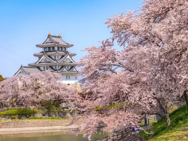 「散り際に淡い墨色になる姿も」岐阜県の“行ってみたい＆好きな桜の名所”ランキング1位は？【2026年調査】