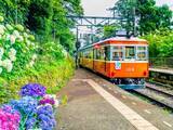 「梅雨に行きたいと思う「神奈川県の旅行先」ランキング！ 2位「箱根」を抑えた1位は？【2026年調査】」の画像1