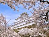 「春に行きたいと思う「福島県の旅行先」ランキング！ 2位「会津若松市」を抑えた1位は？【2026年調査】」の画像1