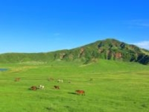 【20代男女251人に聞いた】春に行きたい「熊本県の旅行先」ランキング！2位「阿蘇」を抑えた1位は？【2026年調査】