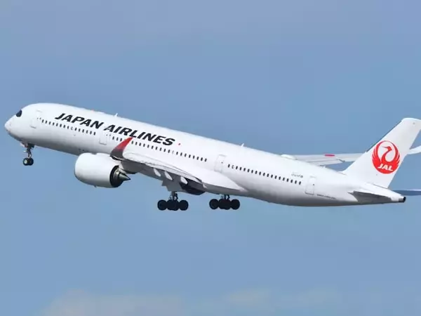「えっ 味違うんですか？」JAL、国内線と国際線のスープの違いを紹介！ 「気づきませんでした笑」