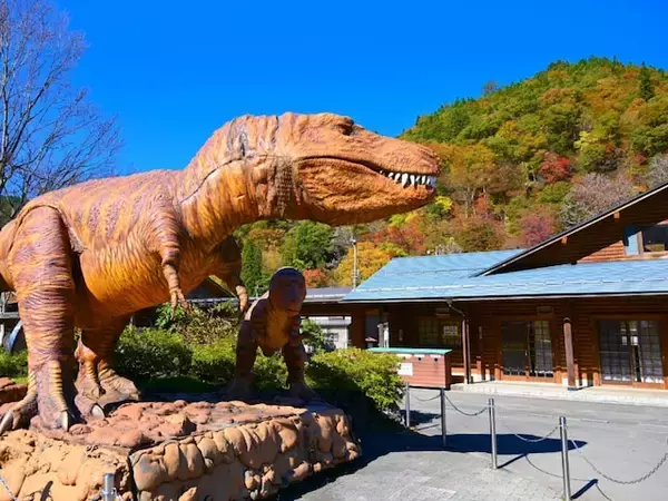 遠方からでも行きたいと思う「福井県の道の駅」ランキング！ 2位「九頭竜」を抑えた1位は？ 【2025年調査】