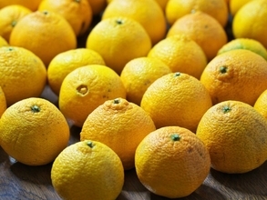 「嫌だwwww」味ぽん、“架空の商品”に反響！ 「これは売れると思う」「商品化すべき。いや、してください」