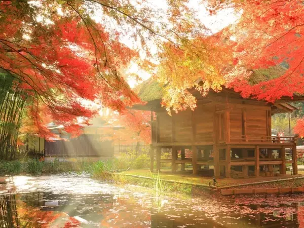 好き＆行ってみたい「日本の古都」ランキング！ 2位「平泉（岩手県）」、1位は？ 【2025年調査】