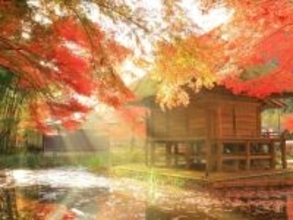 好き＆行ってみたい「日本の古都」ランキング！ 2位「平泉（岩手県）」、1位は？ 【2025年調査】